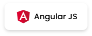 Angular JS