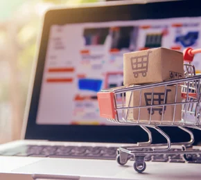 Ecommerce software development