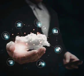 Professional services software solutions